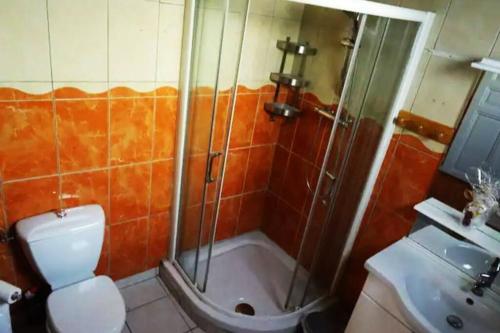 een badkamer met een douche, een toilet en een wastafel bij "L'oranger" Arles Terrasse in Arles
