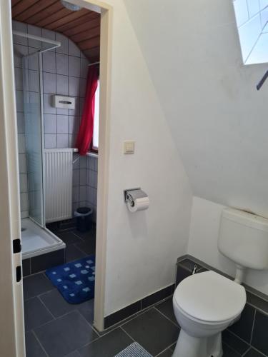 a bathroom with a toilet and a bath tub at Ferienwohnungen Monteurzimmer zur Silbernen Kanne in Rothenburg ob der Tauber