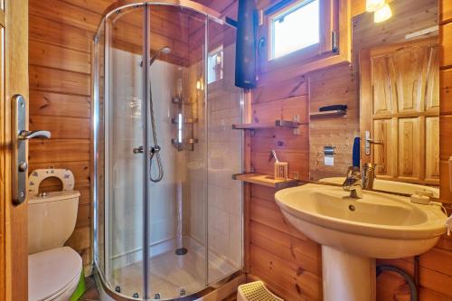 a bathroom with a shower and a sink and a toilet at Le chalet Virginie in Le Dévoluy