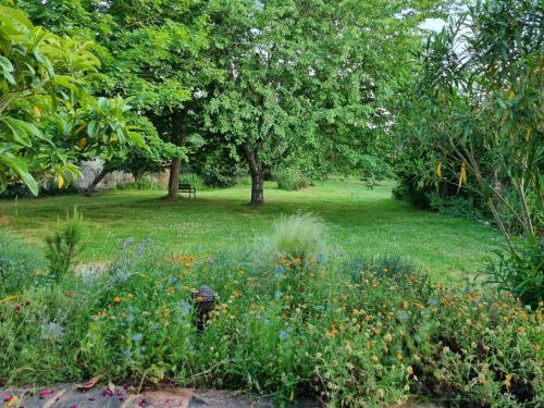 un jardín con un campo de flores y árboles en Chambre Nature Mondavezan, en Mondavezan