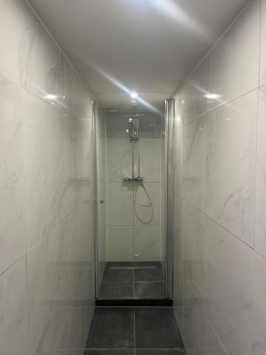 a shower with a glass door in a bathroom at Artistic apartment, City Centre Dordrecht in Dordrecht
