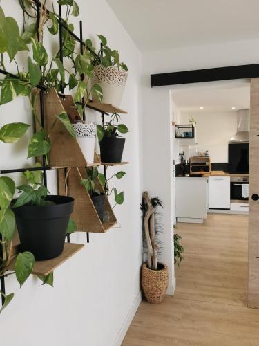 Beau Soleil by JB l Port la Nouvelle