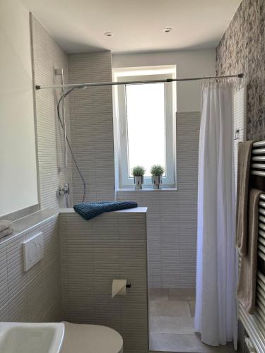 a bathroom with a shower and a toilet and a sink at Haus am Stadttor in Hattingen