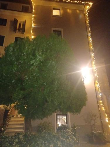a tree in front of a building with a street light at DANTES in Pieve di Teco