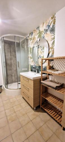 a bathroom with a shower and a sink at Gîtes de l'AKWABA in Buzet-sur-Baïse