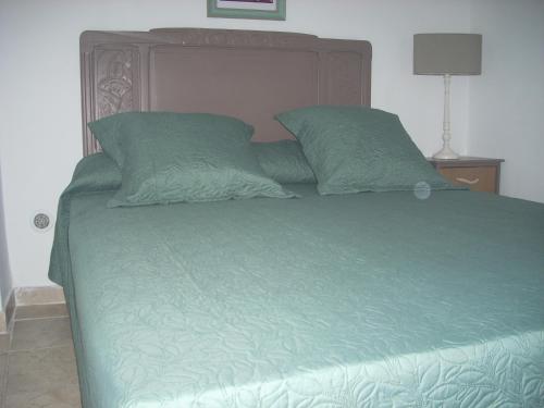 - un lit vert avec 2 oreillers verts dans l'établissement CHAMBRE INDEPENDANTE climatisée, cuisine d'été, piscine, à Sartène