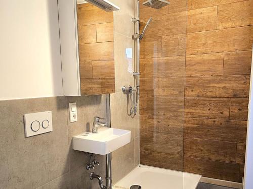bagno con lavandino e doccia di Cozy Apartment in Nierstein a Nierstein