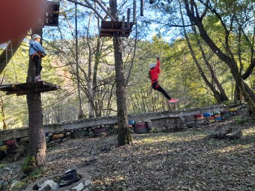 two people jumping off a tree in the woods at Moara Viselor in Vaideeni
