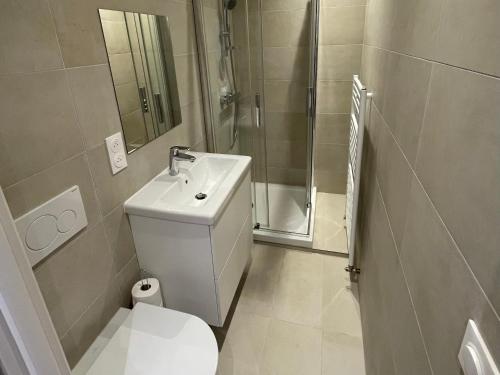 ein Bad mit einem WC, einem Waschbecken und einer Dusche in der Unterkunft Studio meublé Longwy-Haut Centre in Longwy