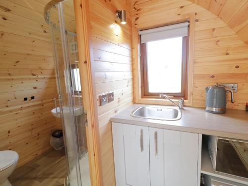 Un baño con lavabo y ducha de cristal. en The Wheelhouse Pod No 2, en Letterkenny