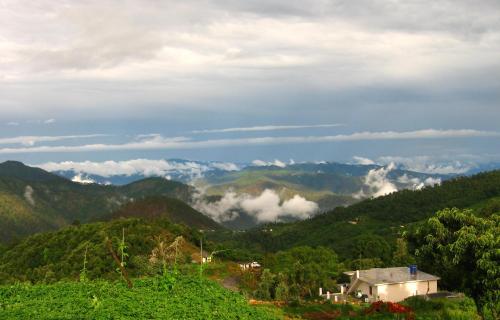 Dunagiri Retreat – Photos 3