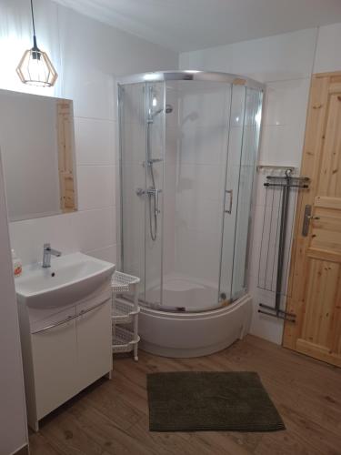 a bathroom with a shower and a sink at Anna in Miłków