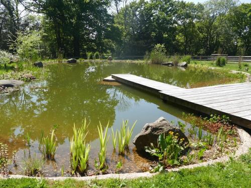 a pond with a wooden bridge in a garden at The Stables - 2 bed with large garden and hot tub. in Sway