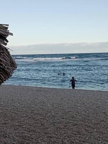 Agradable Apartamento