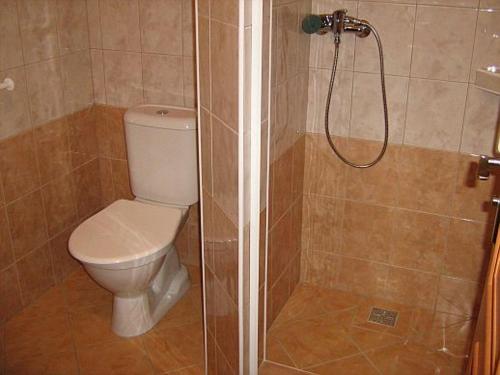 łazienka z toaletą i prysznicem w obiekcie Penzion Albína - Restaurace w mieście Vysoké nad Jizerou