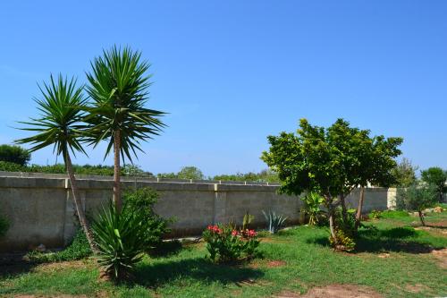 a garden with palm trees and a retaining wall at Casa del Pescatore in Nardò