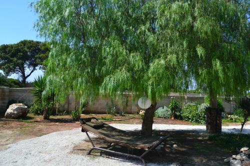 a bench sitting under a tree in a garden at Casa del Pescatore in Nardò