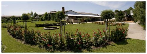 Zahrada ubytování Hotel *** Plauter Kúria