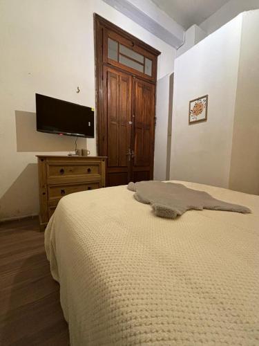 a bedroom with a bed and a flat screen tv at Expreso terminal in Montevideo