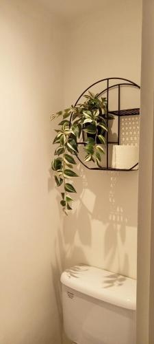 a plant on top of a toilet in a bathroom at Ribbleton Rendezvous in Preston in Preston