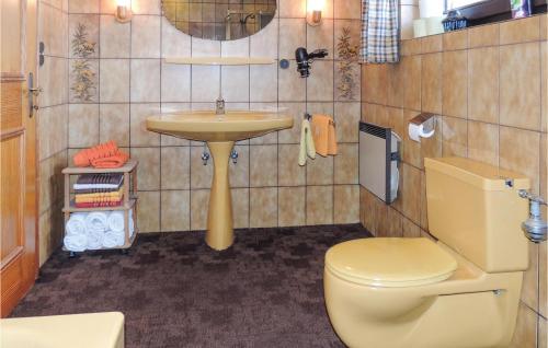 a bathroom with a yellow toilet and a sink at Cozy Home In Tannheim With Wifi in Tannheim