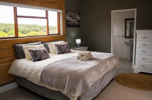 a bedroom with a large bed with a window at Desert Wind Private Guest and Game Farm in Montagu