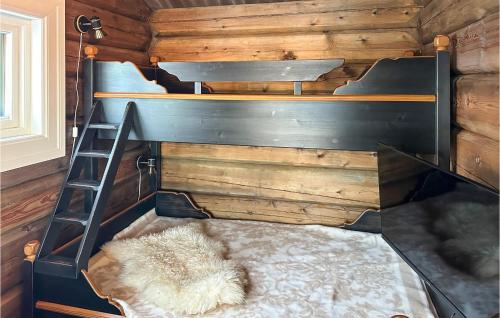a bunk bed in a room with a ladder at Cozy Home In Reinli With Wifi in Reinli