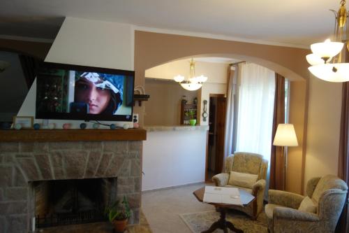 a living room with a fireplace with a flat screen tv at Villa Atriolum in Băile Tuşnad