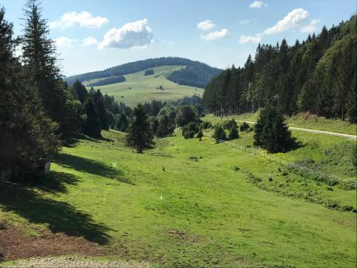 Příroda nedaleko hotelu