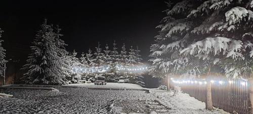 um parque coberto de neve com árvores e luzes em Tatrzański Camper Park- parcele kamperowe em Bukowina Tatrzańska