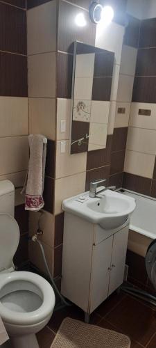 a bathroom with a toilet and a sink at Apartament in Craiova