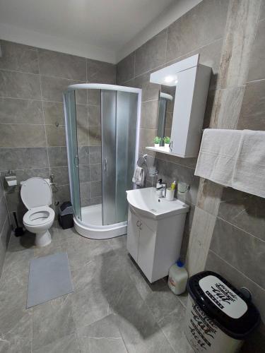 a bathroom with a shower and a toilet and a sink at Cista DESETKA 2 in Požarevac