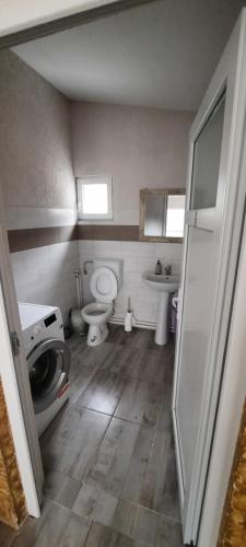 un piccolo bagno con un water e un lavandino di Casa Licurici a Govăşdia
