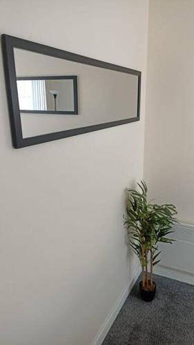 a mirror on a white wall with a potted plant at The Boat House 503 in Leicester