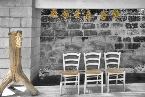 Φωτογραφία από το άλμπουμ του Agriturismo La Turrita σε SantʼAndrea
