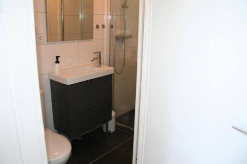 uma casa de banho com um lavatório, um chuveiro e um WC. em De Vlier 25* em Nieuwvliet