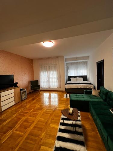 TV a/nebo společenská místnost v ubytování Biser