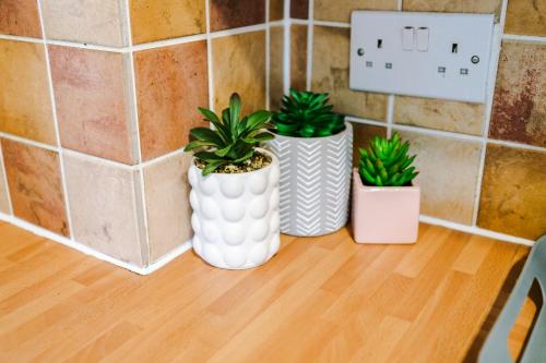 three plants in white vases sitting on a wooden floor at The Consort Serviced Apartment Coventry in Coventry