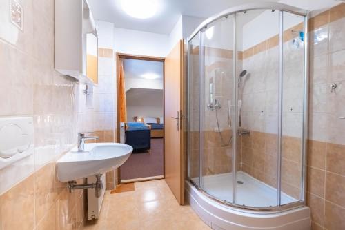 a bathroom with a shower and a sink at Rudolfův dvůr in Svoboda nad Úpou