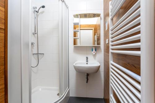 a small bathroom with a sink and a shower at Hotel Dagmar in Jáchymov