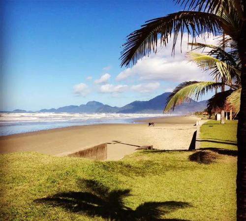 a beach with a palm tree and the ocean at Apartamento Brisa Do Mar em Peruíbe in Peruíbe