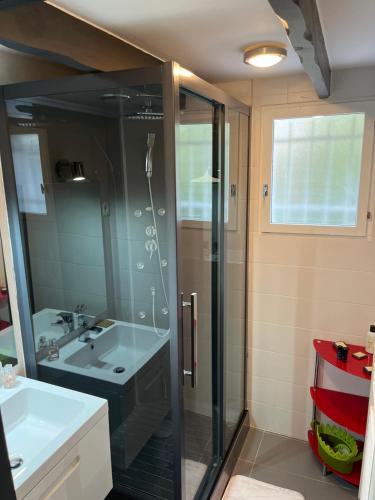 une salle de bain avec douche et lavabo dans l'établissement CHARMANT STUDIO INDEPENDANT PROCHE MER parking privé, à Mireval