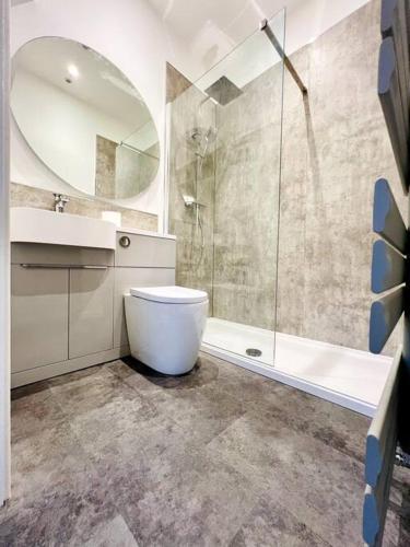 a bathroom with a toilet and a sink and a shower at 2 bedroom 2 en-suite free parking super fast wi-fi blyth centre in Blythe