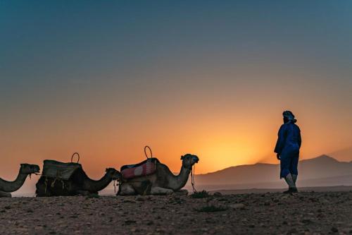 Ein Mann steht neben zwei Kamelen in der Wüste. in der Unterkunft agafay quad marrakech in Guertsdar
