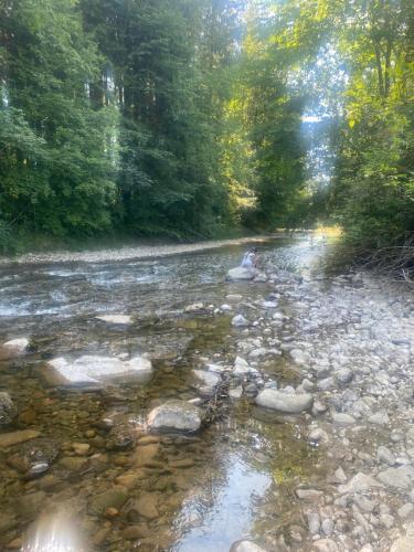 a river with rocks and trees in the background at Annahof in Argenbühl