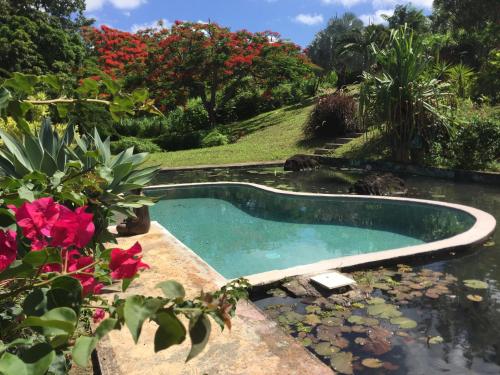Bazén v ubytování TropicAngel ECOLODGE de Charme nebo v jeho okolí