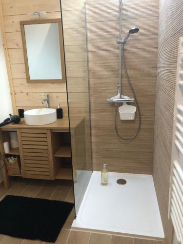 a bathroom with a shower and a sink at La Cabane 14 in Lanton