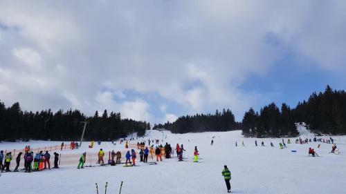 a large group of people on a ski slope at PANORAMA SportHOTEL in Wenigzell