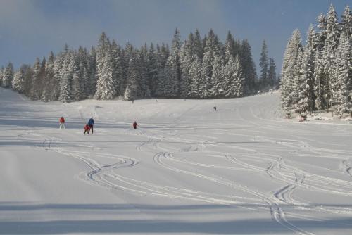a group of people skiing down a snow covered slope at PANORAMA SportHOTEL in Wenigzell