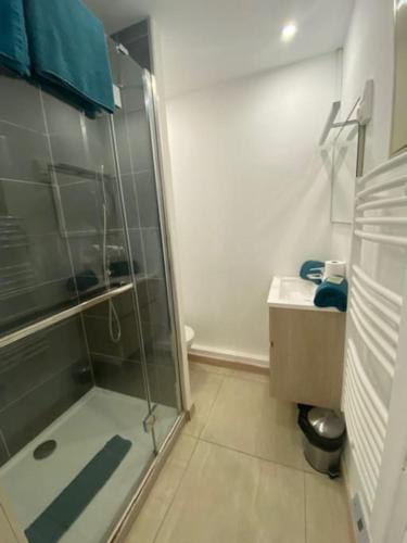 une salle de bain avec une douche en verre et des toilettes dans l'établissement Studio 551, Port Soleil au village naturiste, au Cap d'Agde